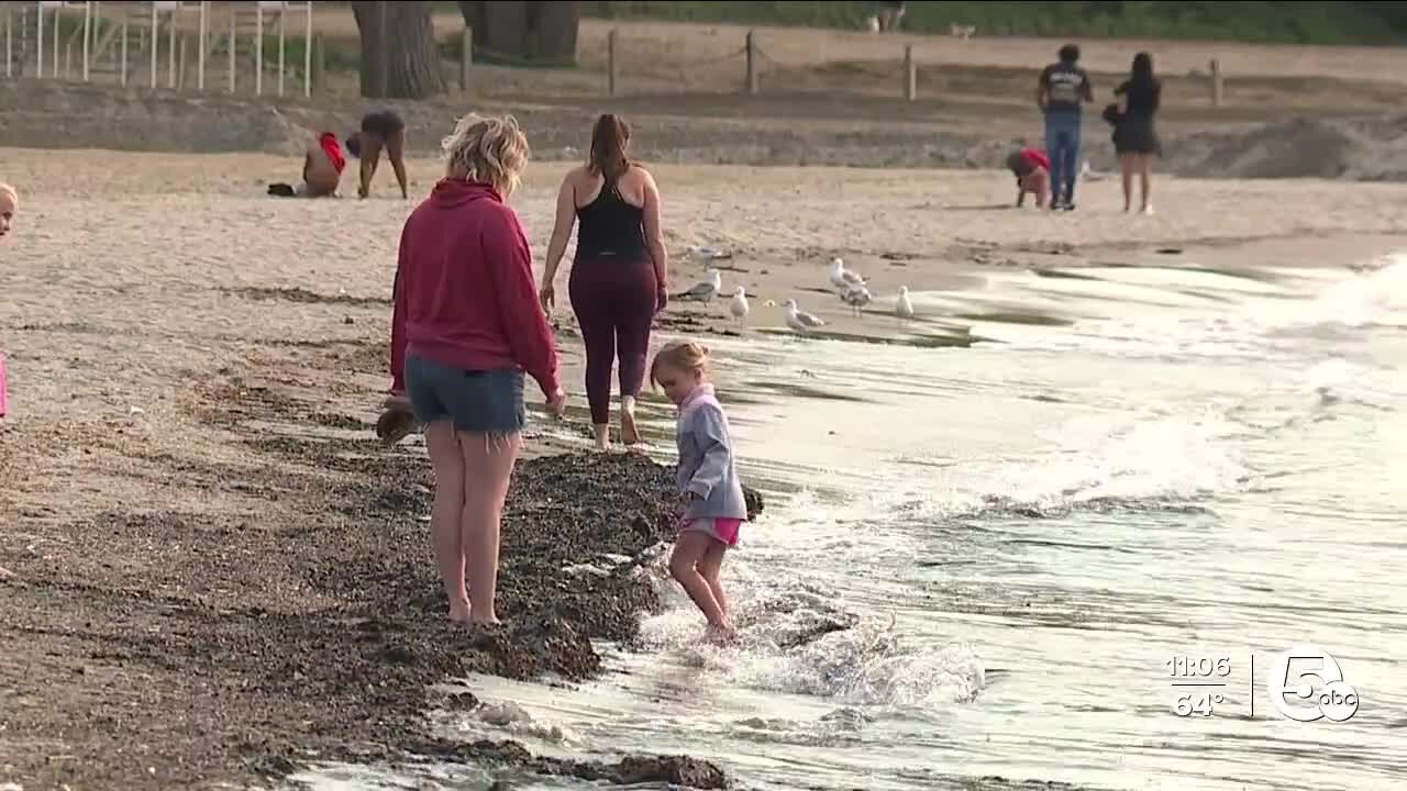 Ohio tackles harmful algae blooms in Lake Erie