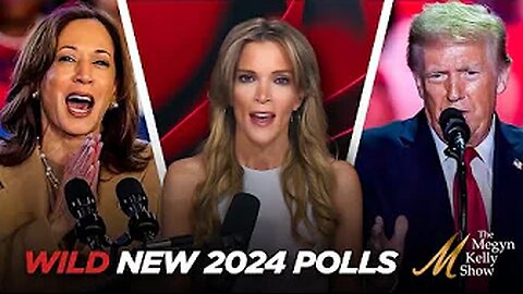 Megyn Kelly -Megyn Kelly Breaks Down the Wild New 2024 Polls Shaking Up the Race With One Day To Go