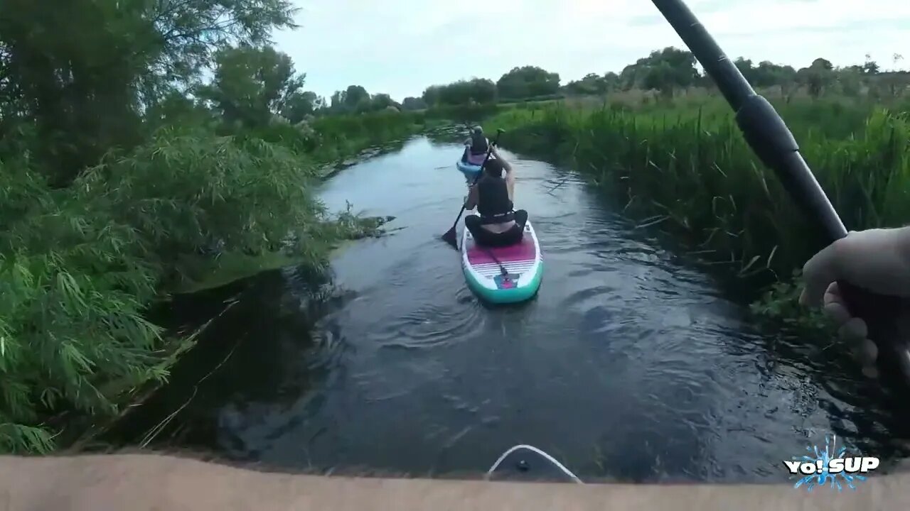 Yo! SUP | Ringland Swan upstream, the golf ball run 04.09.22