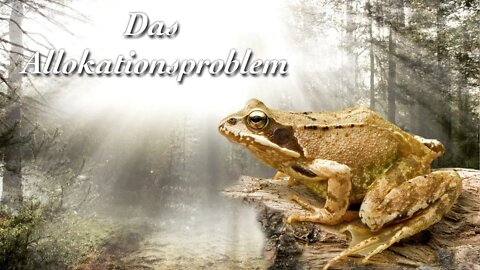 Das Allokationsproblem