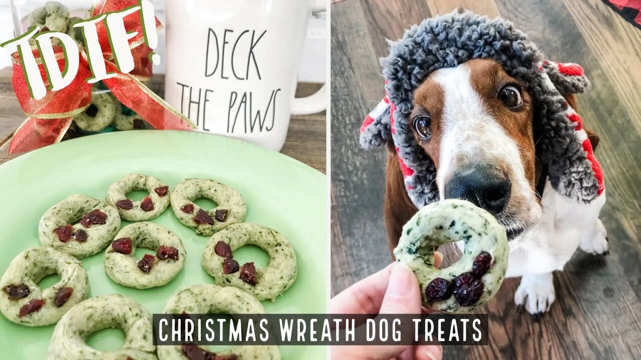 How to make homemade Christmas Wreath Dog Treats