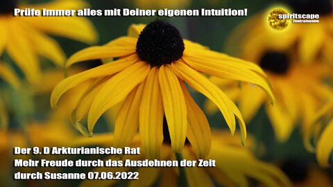 Mehr Freude durch das Ausdehnen der Zeit – Der 9.D Arkturianische Rat