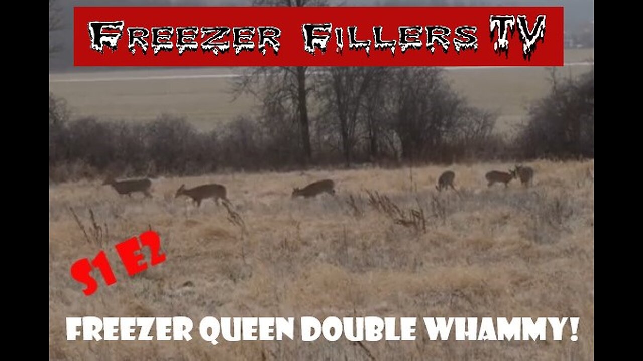 NY Deer Hunting! 2 BIG Does Down! S1E2