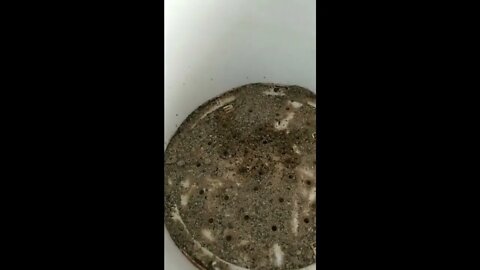 Composteira de Bokashi