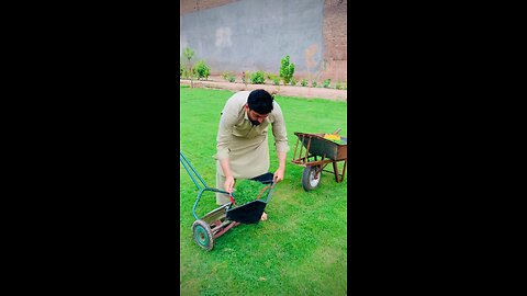 Cutting of grass in our Hujra