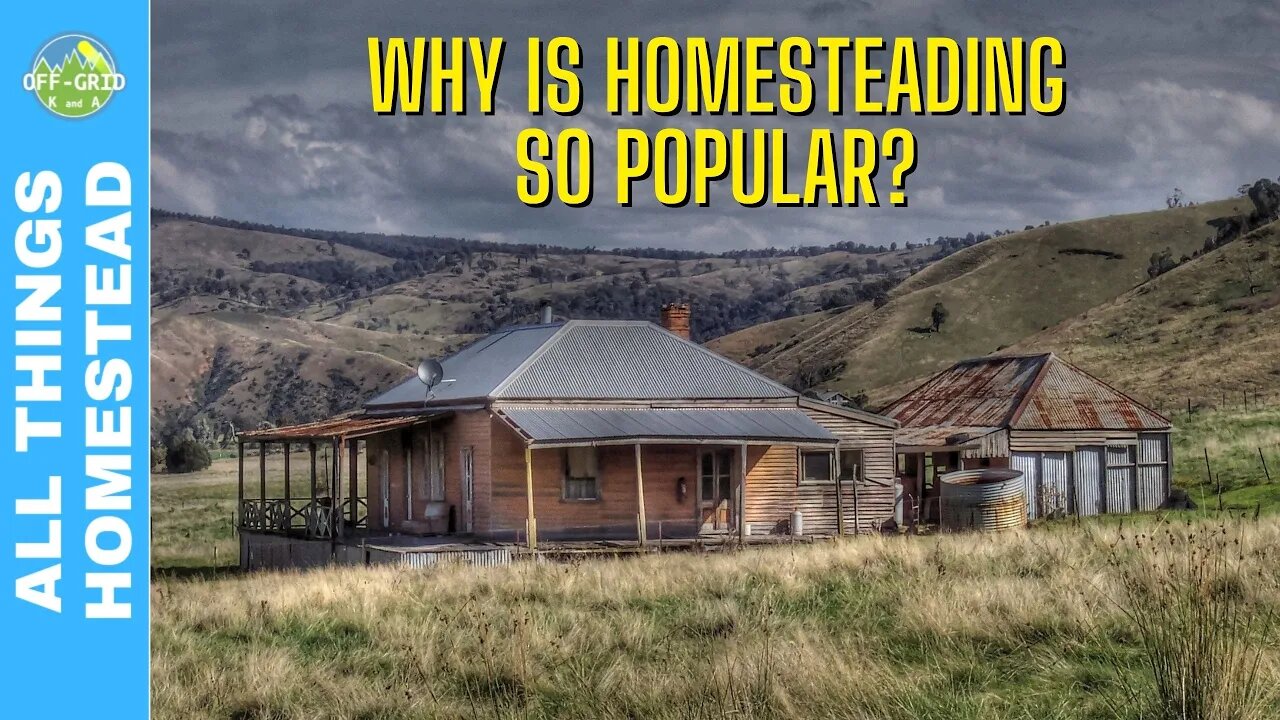 Why Homesteading Is Popular - Simple Living // A Homestead Talk