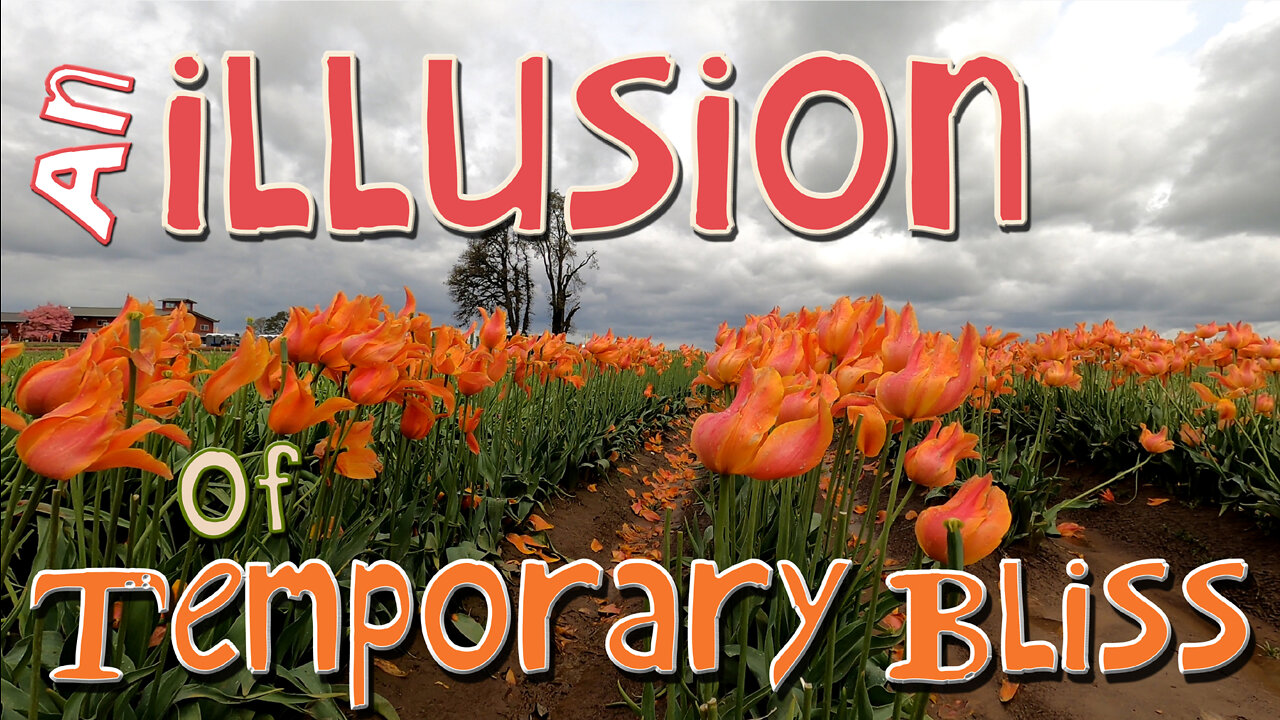 An Illusion of Temporary Bliss