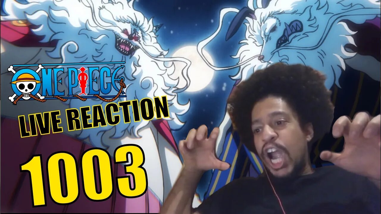 SuLongs vs Kaido! One Piece Episode 1003 LIVE REACTION