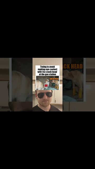 Your daily dose of memes