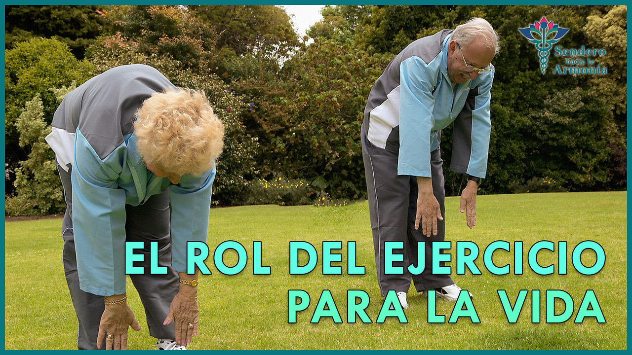 El rol del ejercicio para la vida | Sendero hacia la armonía 🧘🏻