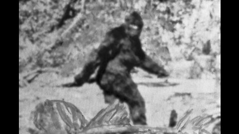 Bring on the Sasquatch...