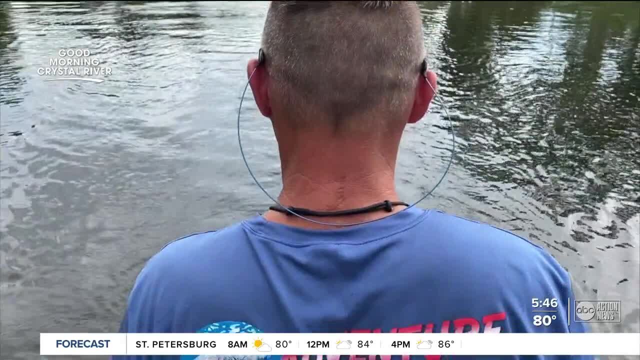 Swimming with manatees in Crystal River