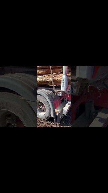 #shorts #2022 funny,prank,funjokes,dad jokes,funny memes,funny video,fun,laughing,funny animal,knock