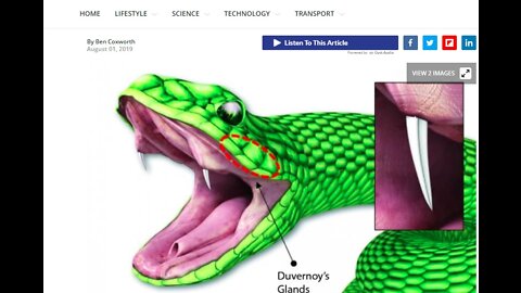 VIPER VAX PATCH. 1ST DNA VAX 66.6%. INTERNET OF BODIES. 4TH INDUSTRIAL REVOLUTION.. TO CHANGE YOU