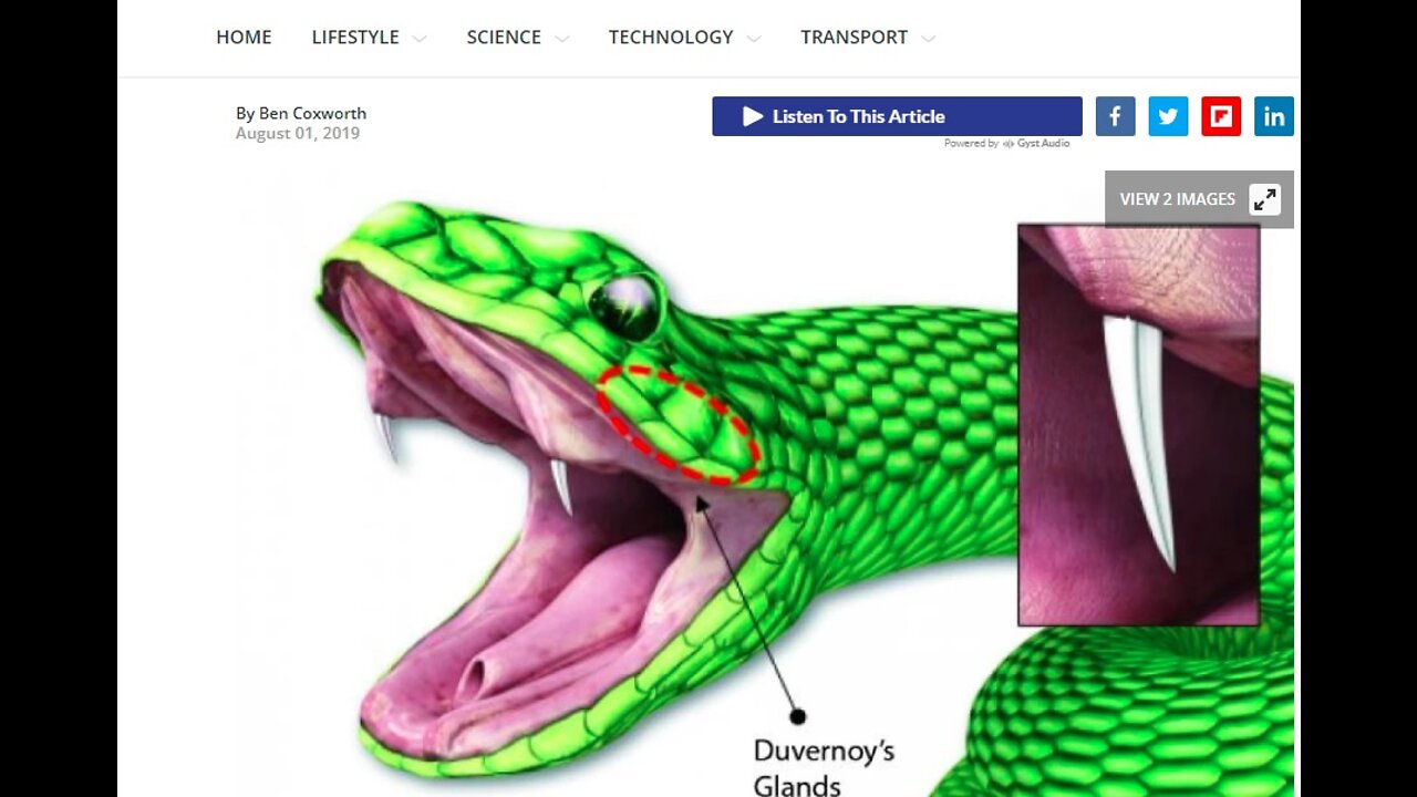 VIPER VAX PATCH. 1ST DNA VAX 66.6%. INTERNET OF BODIES. 4TH INDUSTRIAL REVOLUTION.. TO CHANGE YOU