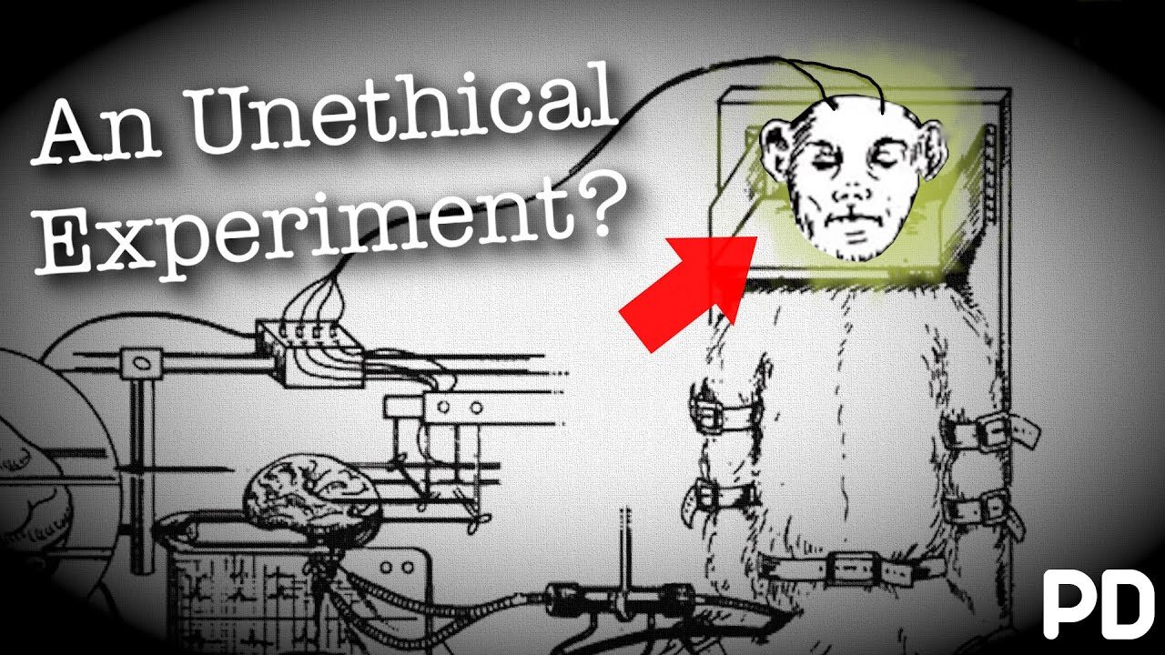 The Dark side of Science: The 1970 Monkey Head experiment (Short Documentary)