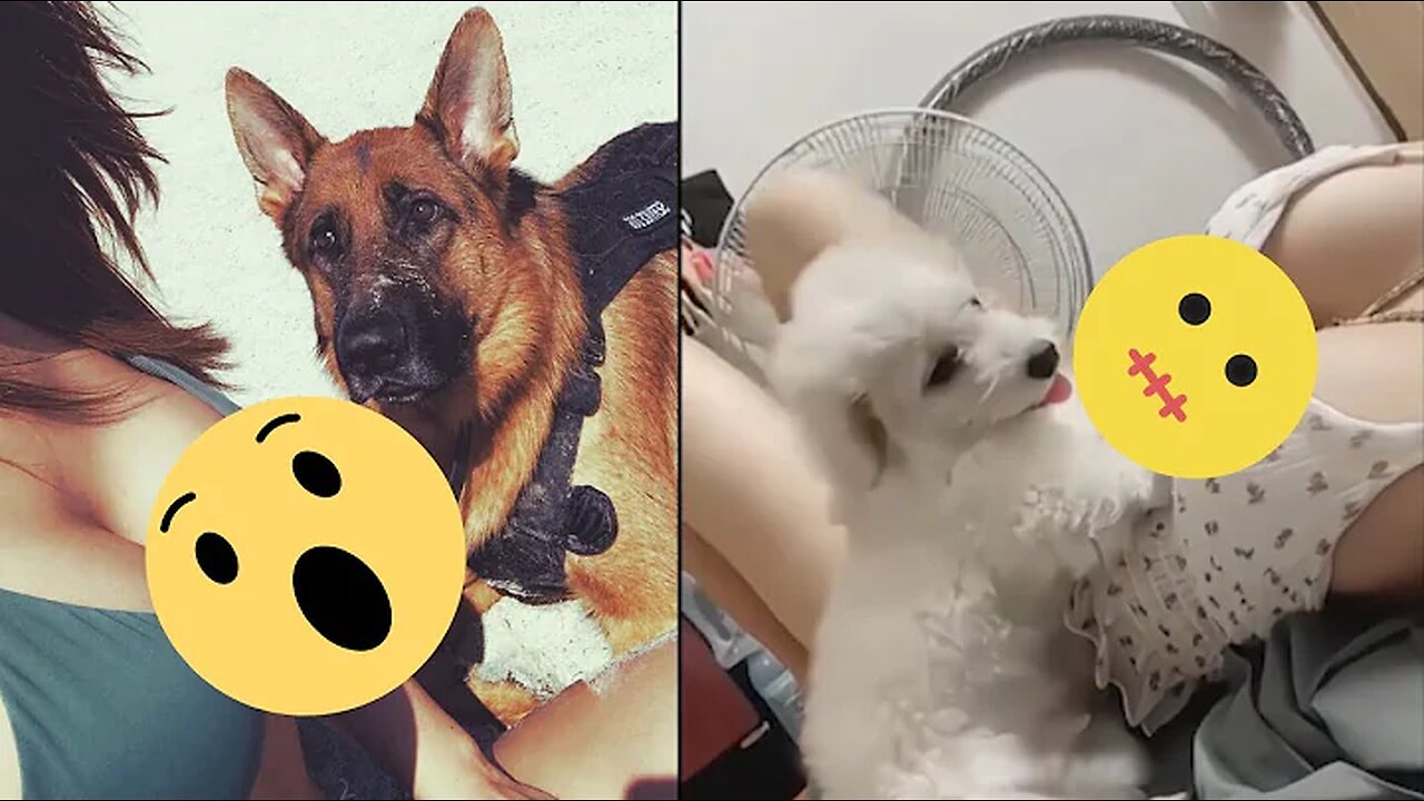 Funny Animal Videos 2023 🥰 - Funniest Dogs and Cats Videos 😁