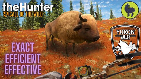 Exact Efficient Effective, Yukon Valley | theHunter: Call of the Wild (PS5 4K)