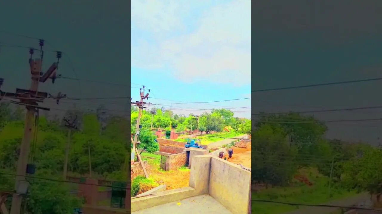 Chandigarh waliye ❤️❤️‍🔥 #village #villager #reels #shorts #shortvideo #desi