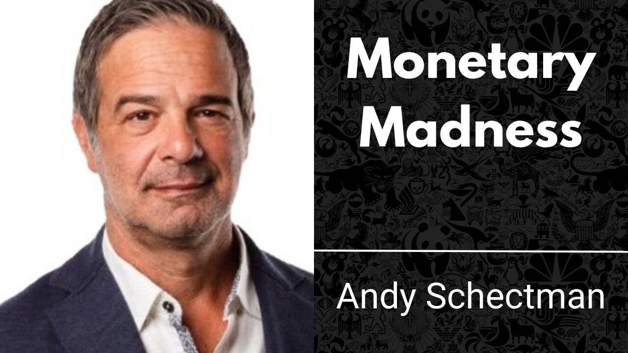 Monetary Madness - The Downfall Of The US (Dollar) | Andy Schectman