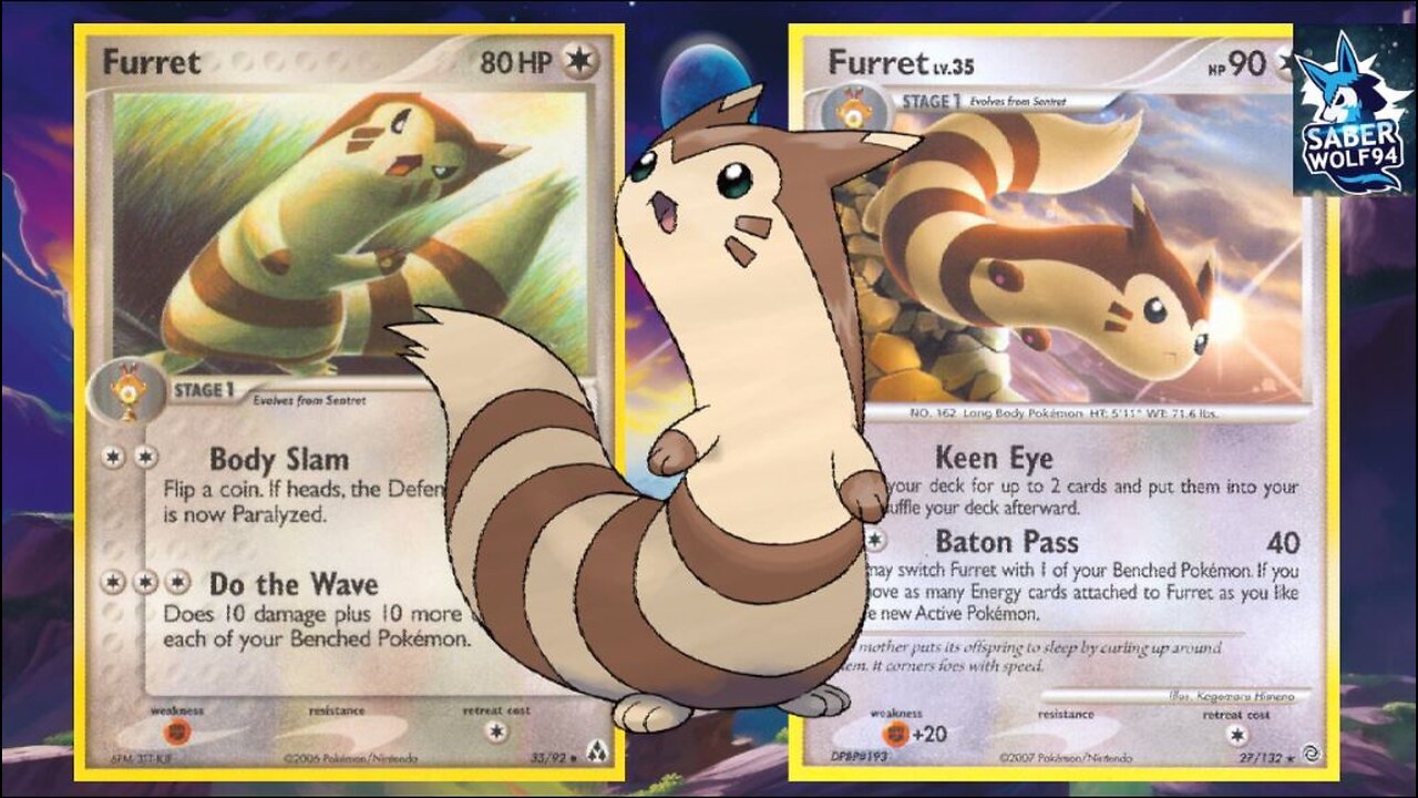 History of Furret in the TCG The Pokemon Trading Card Game Overview!!