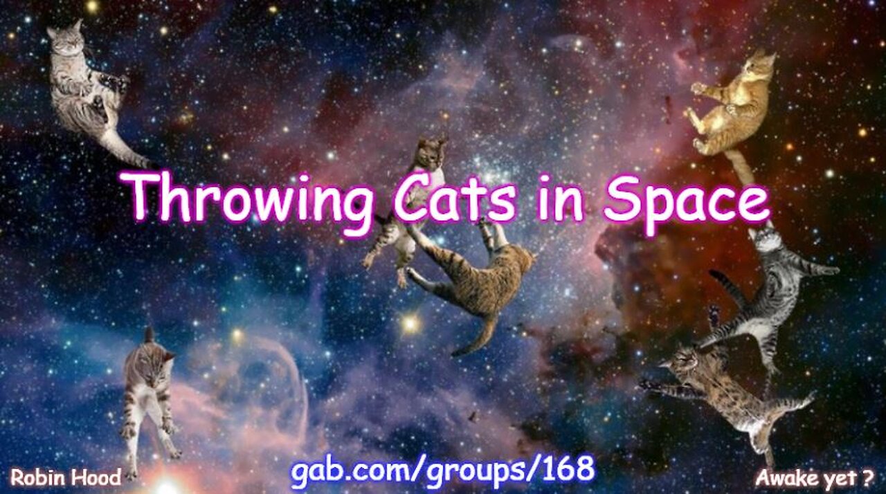 Throwing Cats in Space