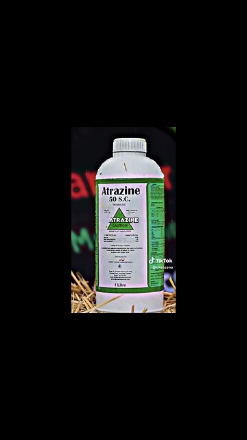 HERBICIDE ATRAZINE☢️CHANGES HORMONES🧬CAUSES CANCER☠️⚠️👣🐚🚯💫
