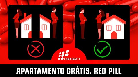 APARTAMENTO GRÁTIS. RED PILL (RACCOONING RACCOON)