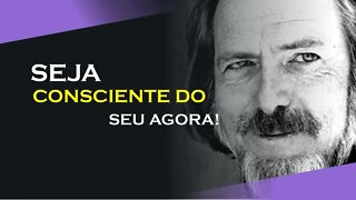 21, VIVA O MOMENTO PRESENTE, ALAN WATTS DUBLADO, ECKHART TOLLE DUBLADO