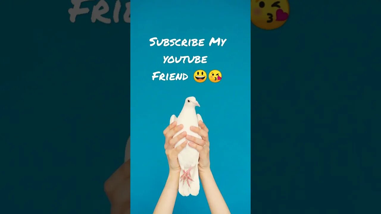 Cute #shorts #youtube #youtubeshorts