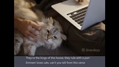 Chat GPT Writes Eminem Song About Cat,Mind Blowing!!!