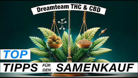 THC & CBD: So findest Du die beste Cannabissorte für Dich!