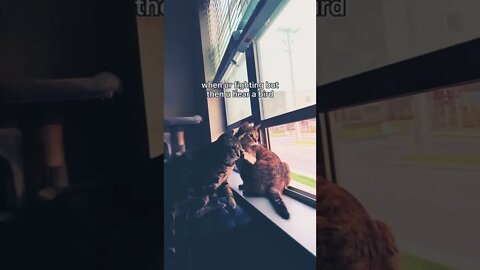 Class fighting type but suddenly a girl enter in class 🤣🤣🤣