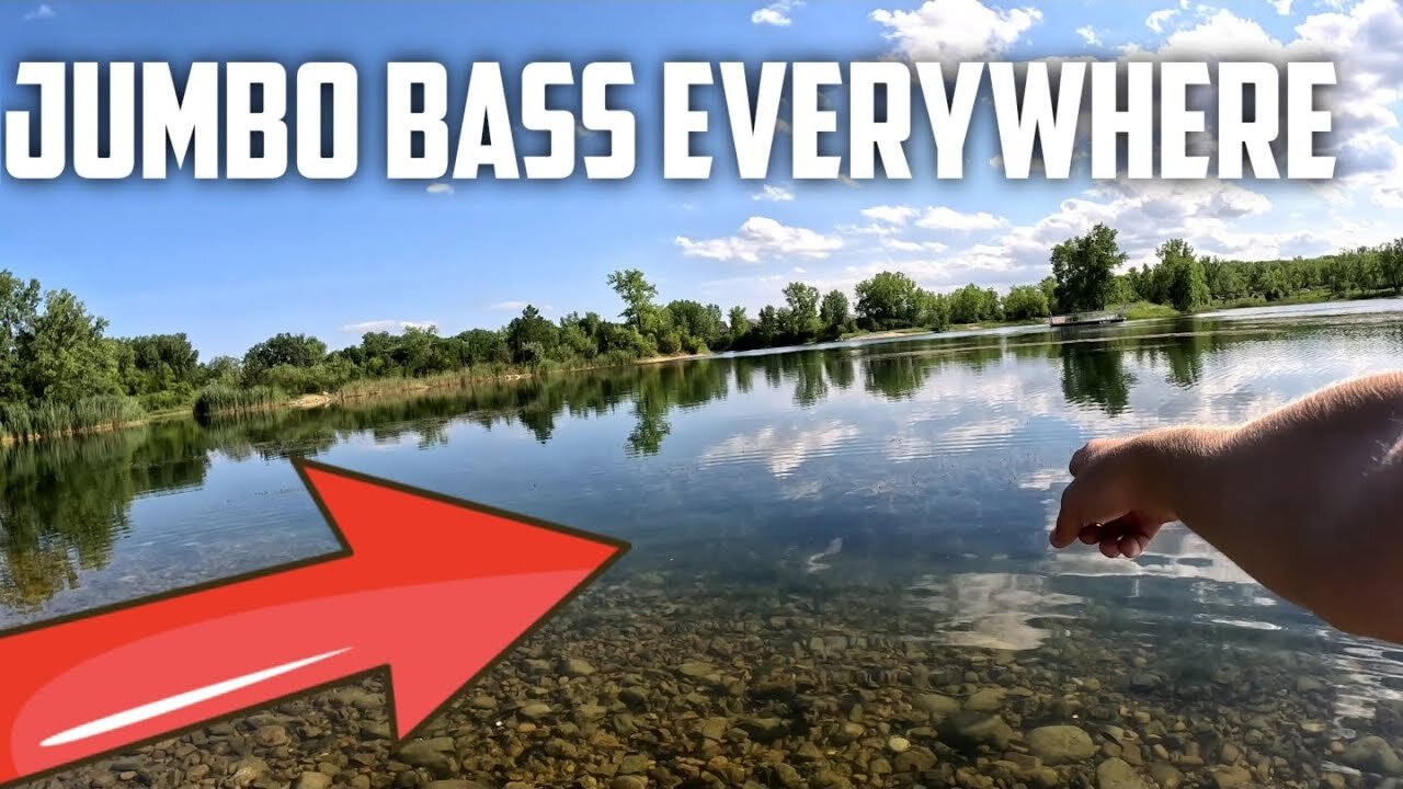 Fearless Bass Domination Conquering Bluegills