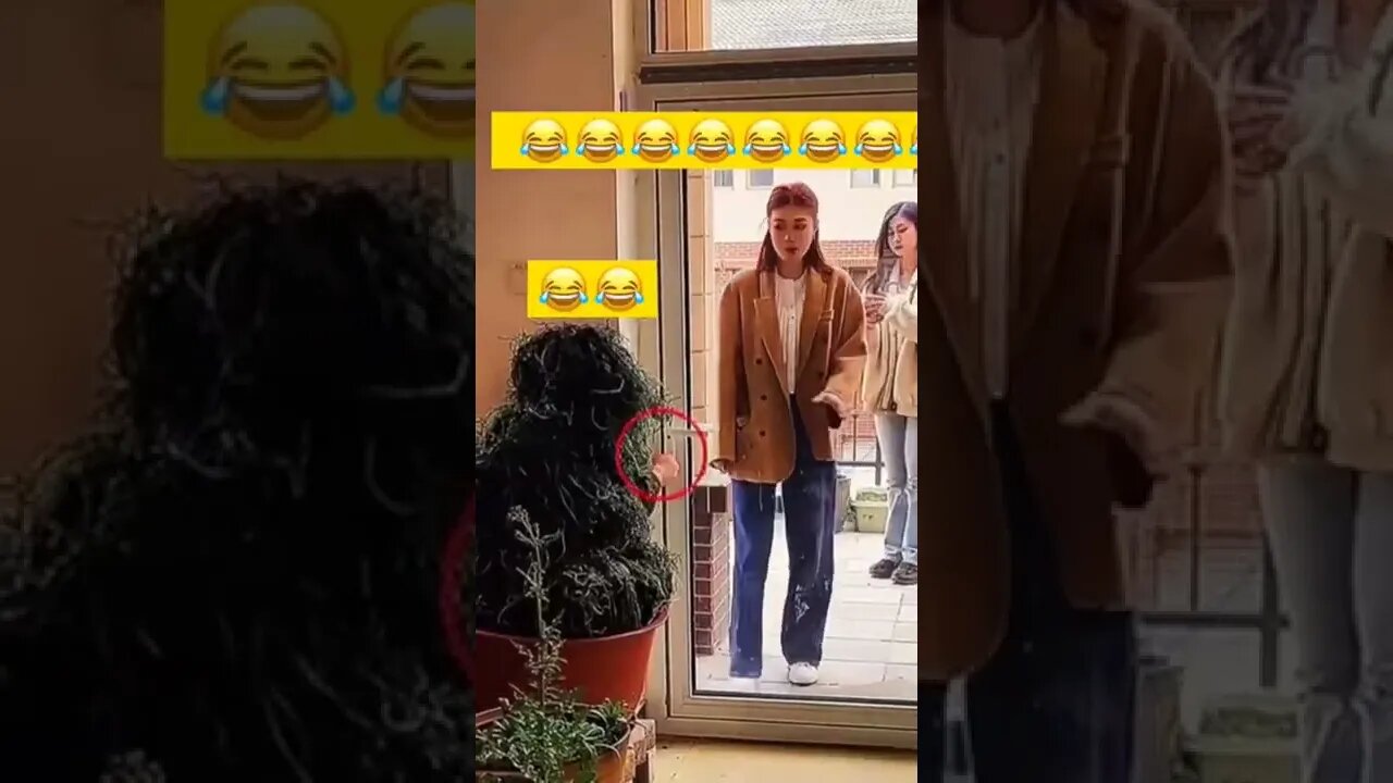 🤣🤣🤣 #shorts #funny