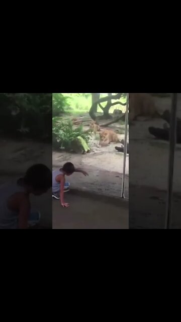 ANIMAIS ENGRAÇADOS E FOFOS #shorts