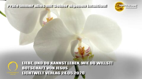 LIEBE, UND DU KANNST LEBEN, WIE DU WILLST! - BOTSCHAFT VON JESUS - LWV