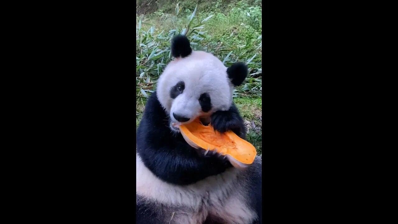 What tastes so good..
