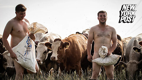 Crops and no tops: These farmers bare it all for cheeky calendar