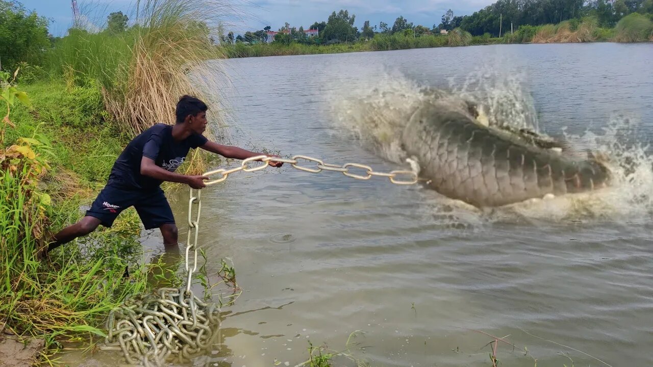 Underground Monster Fish Catching Village Fisherman Big Fish Catching Experience With A Chicken