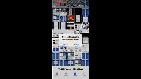 🎼❤️❤️🫥🦁🫥❤️❤️🎼