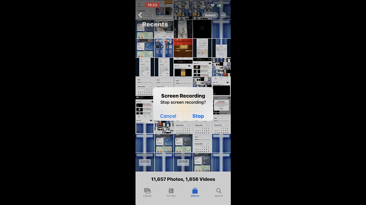 🎼❤️❤️🫥🦁🫥❤️❤️🎼