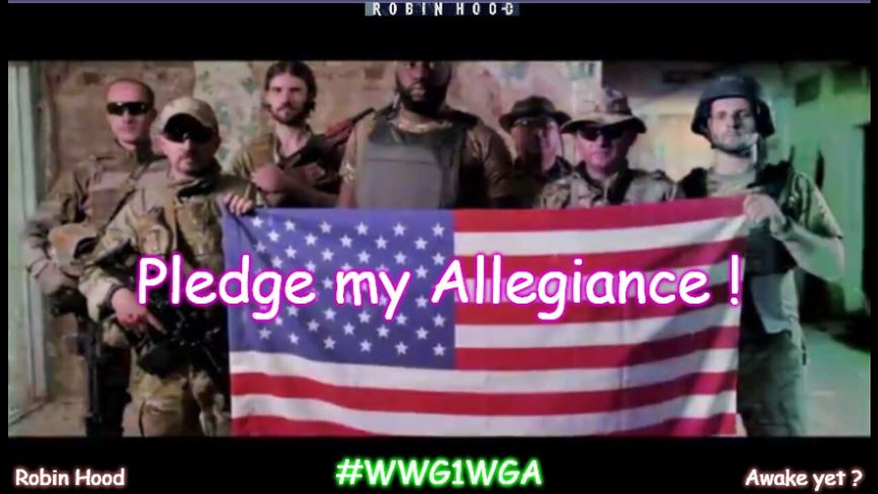 Pledge my Allegiance ~ by Pryme Minister