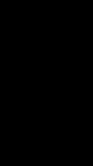 Disease x election variant