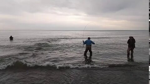 Lake Erie steelhead fishing late PM October