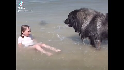 Viral Pet Video Will Melt Your Heart!!!