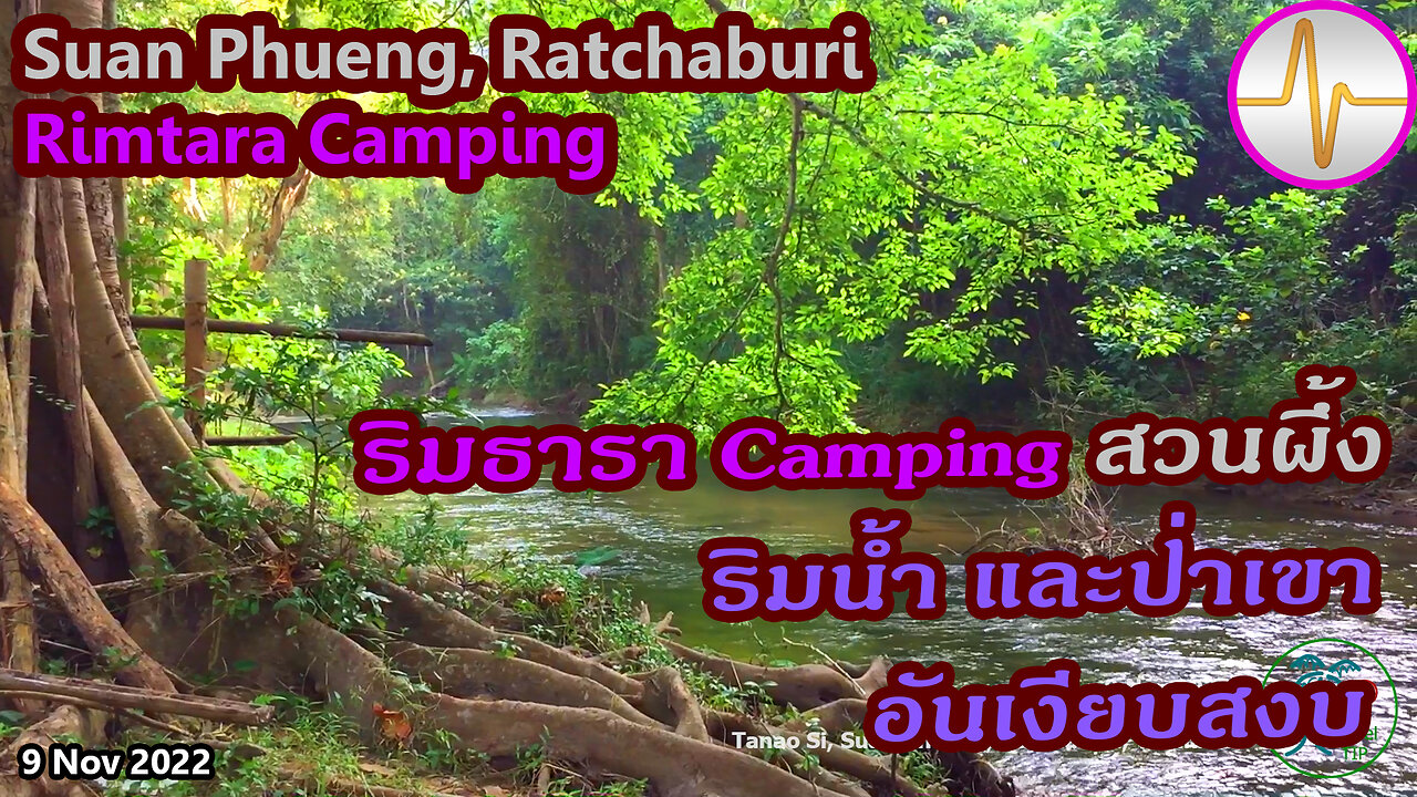 เที่ยว Camping Rimtara - ริมธารา แคมป์ปิ้ง สวนผึ้ง ราชบุรี