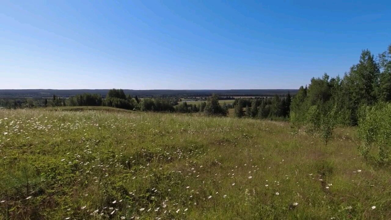 Walk through the stunning field and forest