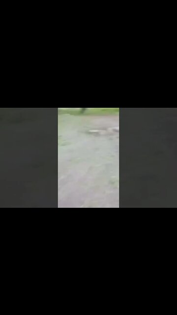 Ukrainian Forces Shelled A Residential Area Killing A 16 Year Old Boy!