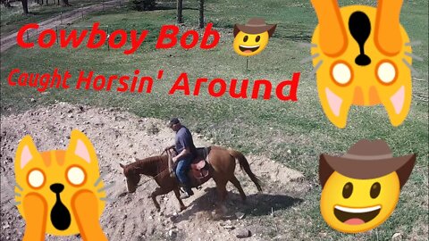 Cowboy Bob - Caught Horsin' Around 🙀